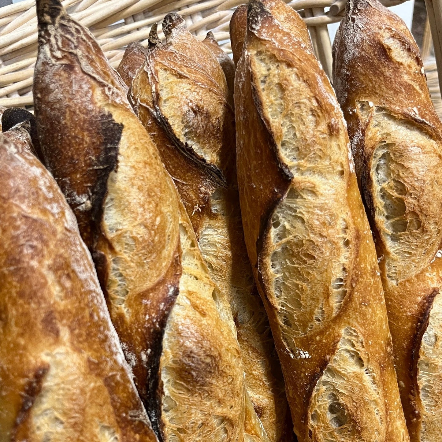 BAGUETTE DE TRADITION