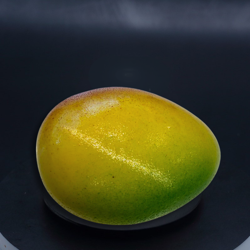 Trompe-l’œil mangue pâtisserie – Maison FRED